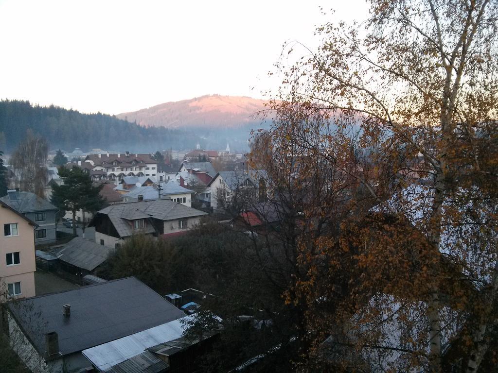 Vila Dariana Ватра-Дорней Екстер'єр фото