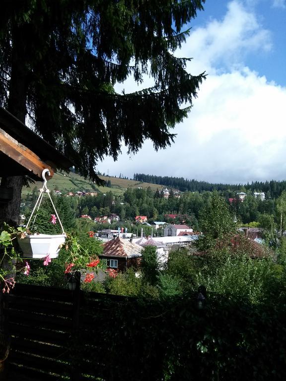 Vila Dariana Ватра-Дорней Екстер'єр фото