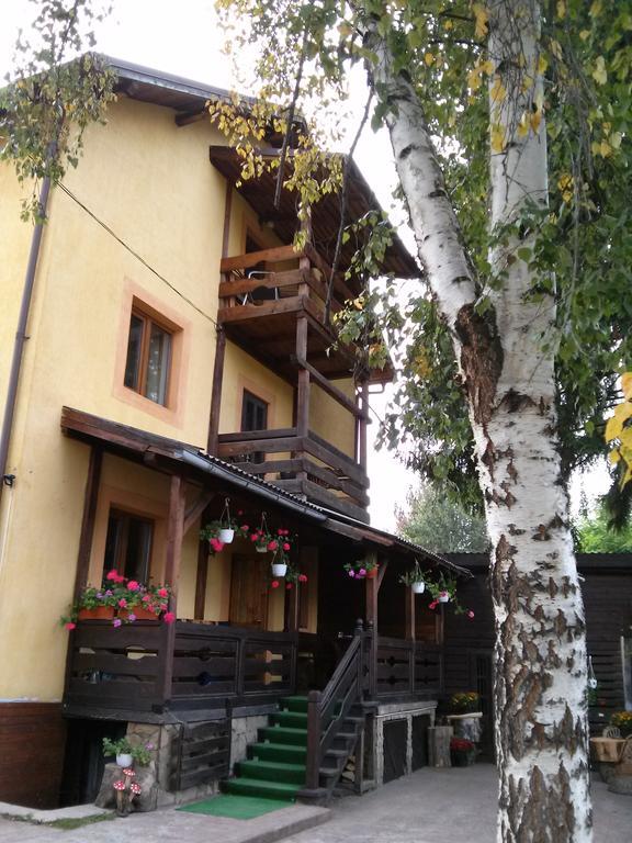 Vila Dariana Ватра-Дорней Екстер'єр фото