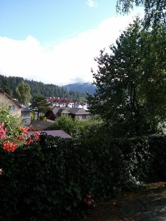 Vila Dariana Ватра-Дорней Екстер'єр фото