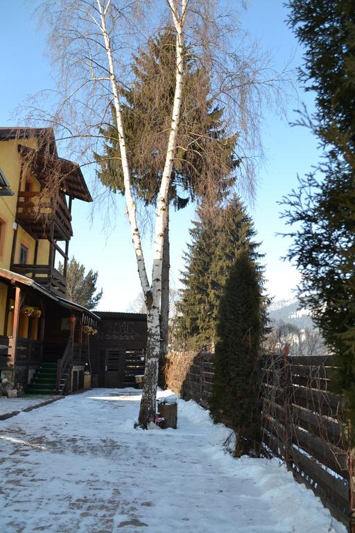 Vila Dariana Ватра-Дорней Екстер'єр фото