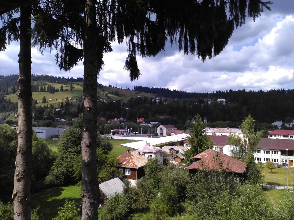 Vila Dariana Ватра-Дорней Екстер'єр фото